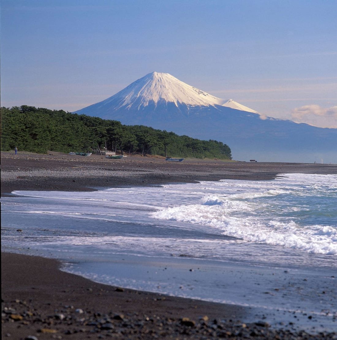 🏖️ 서던 비치 치가사키 (Southern Beach Chigasaki) 이미지 8